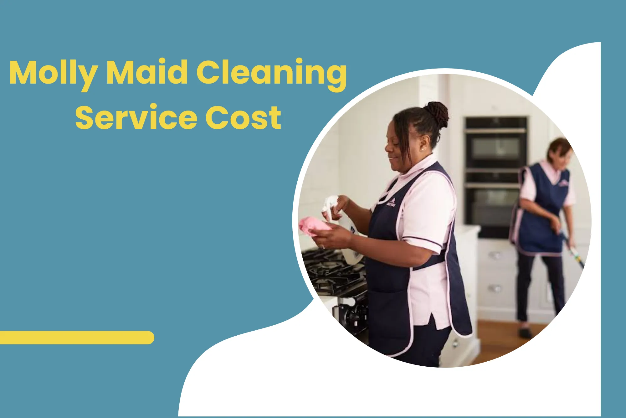 Molly Maid Cleaning Service Cost